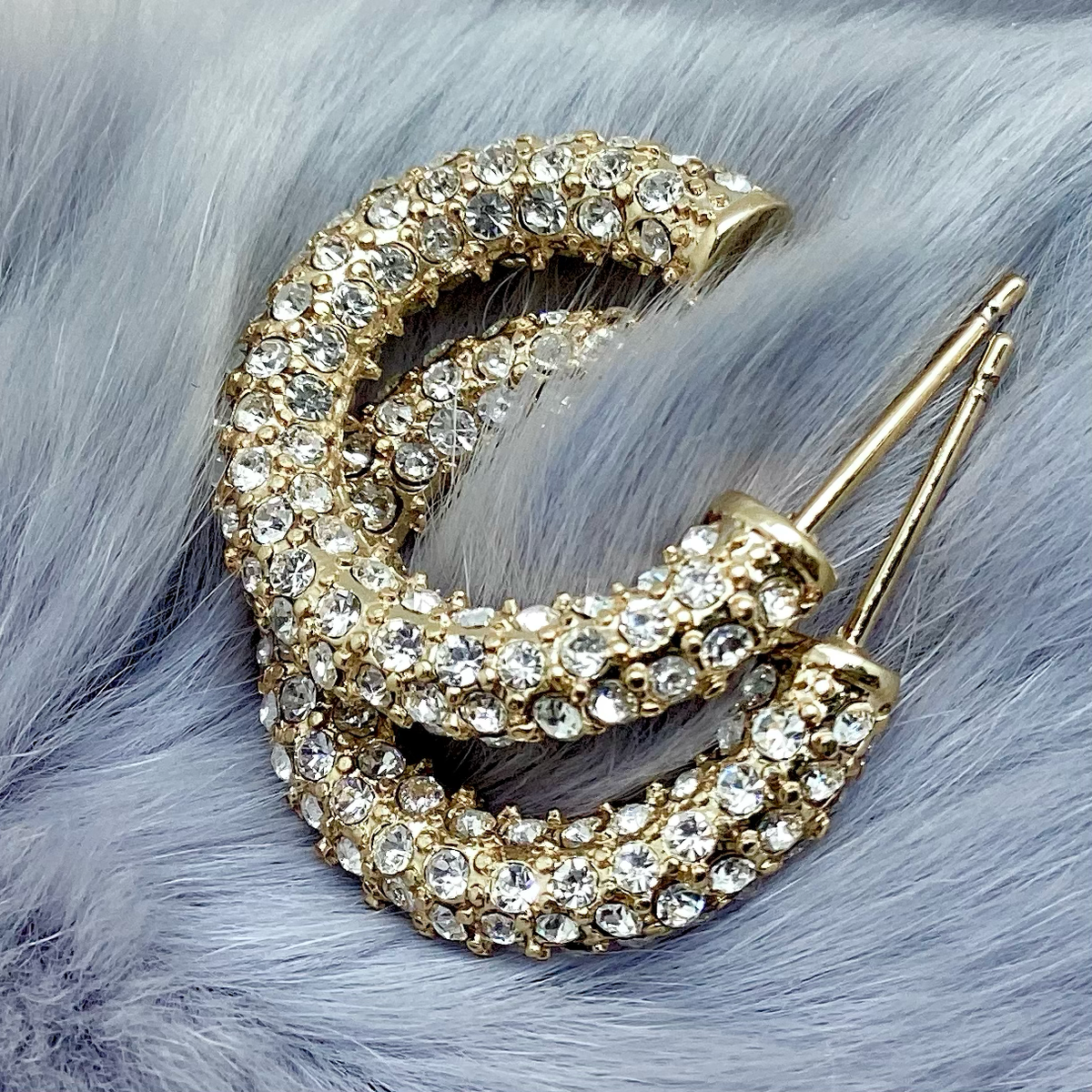 Crystal Hoop Earrings
