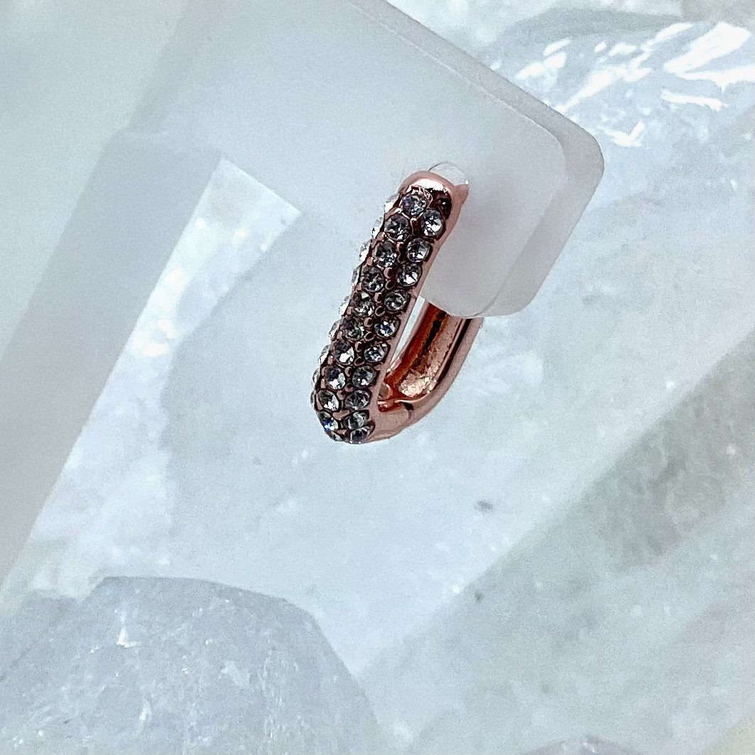 U-Shape Small Earrings